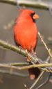 DSC_1891c.jpg