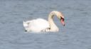 DSC_2539c.jpg