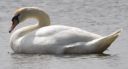 DSC_2542c.jpg