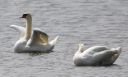 DSC_2544c.jpg