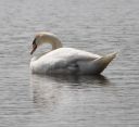 DSC_2566c.jpg