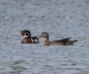 DSC_2582c2.jpg