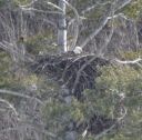 DSC_4230c.jpg