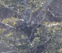 DSC_4351c.jpg