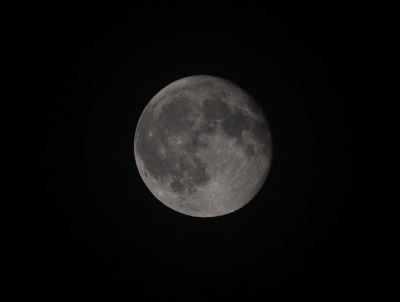 DSC_0292c2.jpg