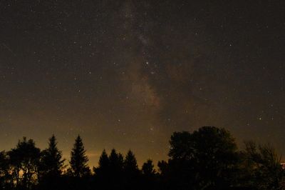 DSC_1555c.jpg