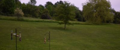 DSC_3002c.jpg