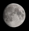 DSC_1096c.jpg