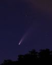 DSC_3840c.jpg