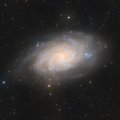 M33