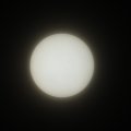 DSC_1650c